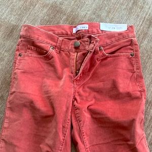 Brand new loft size 00 24 velvety soft pants